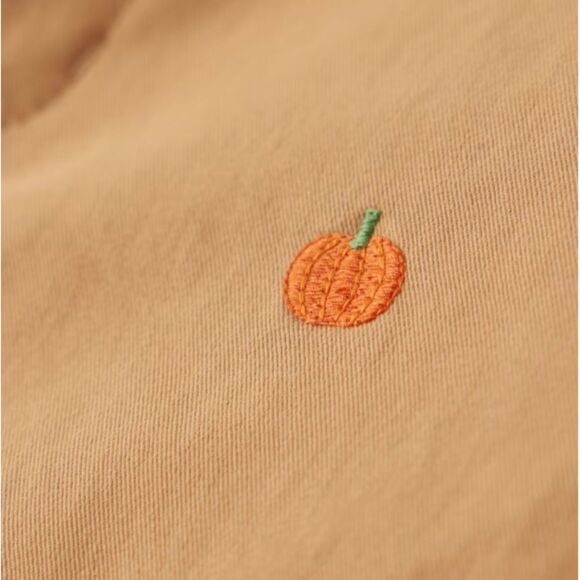 Gymboree Boys Allover Pumpkin Print Tan Twill Chino Fall Pants Size 8 - Picture 3 of 7